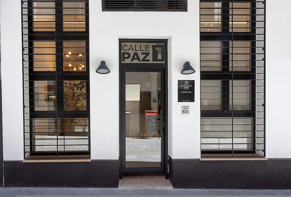 Luxury Loft in Granada Center La Paz II