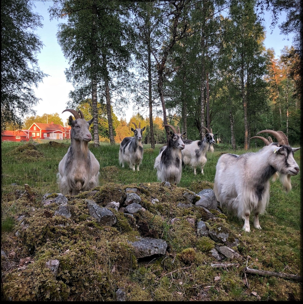 Smålandstorpet