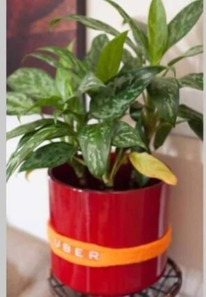 Denver Vacations - DIA Layover - Property Image 9