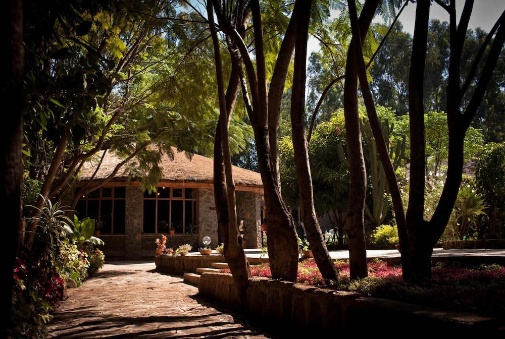 Abay Minch Lodge