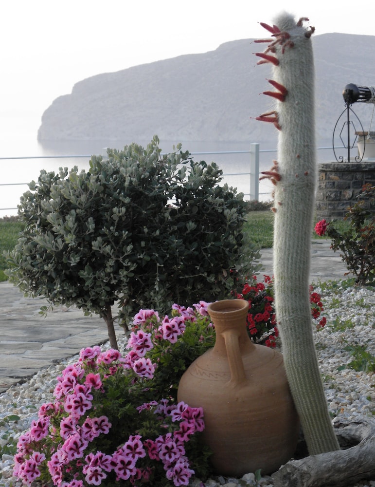 Luxurious Villa Tholos Crete
