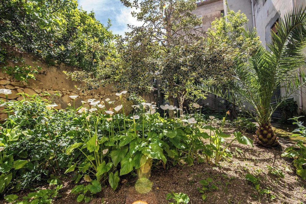 Il Giardino Delle Calle