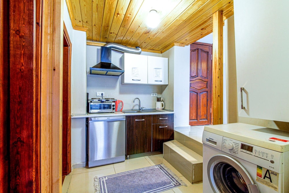 Historical Duplex Villa With Patio in Beyoglu