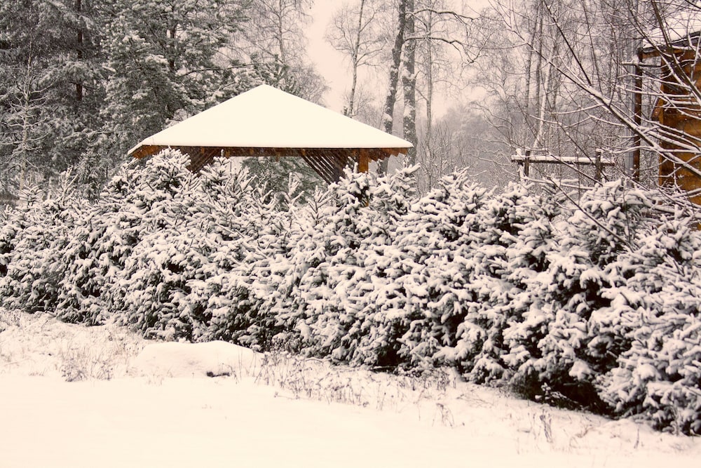 Cottage complex Ozerny Bereg