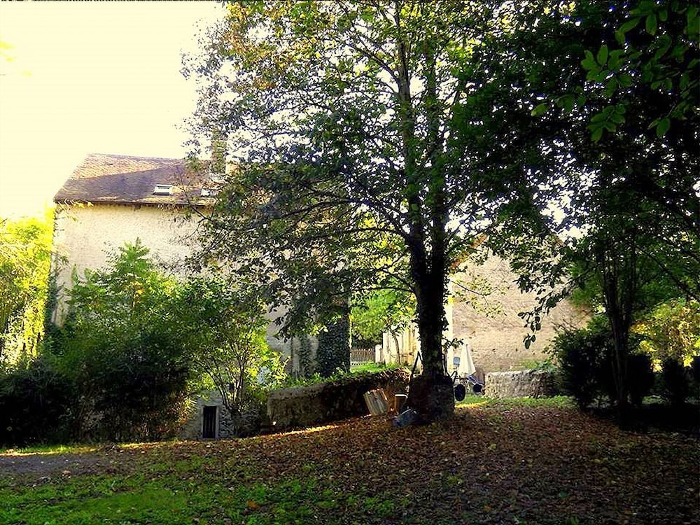 Photo 41