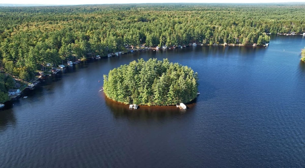 The Stabbin Cabin Grant Island w Boat Hottub Pet