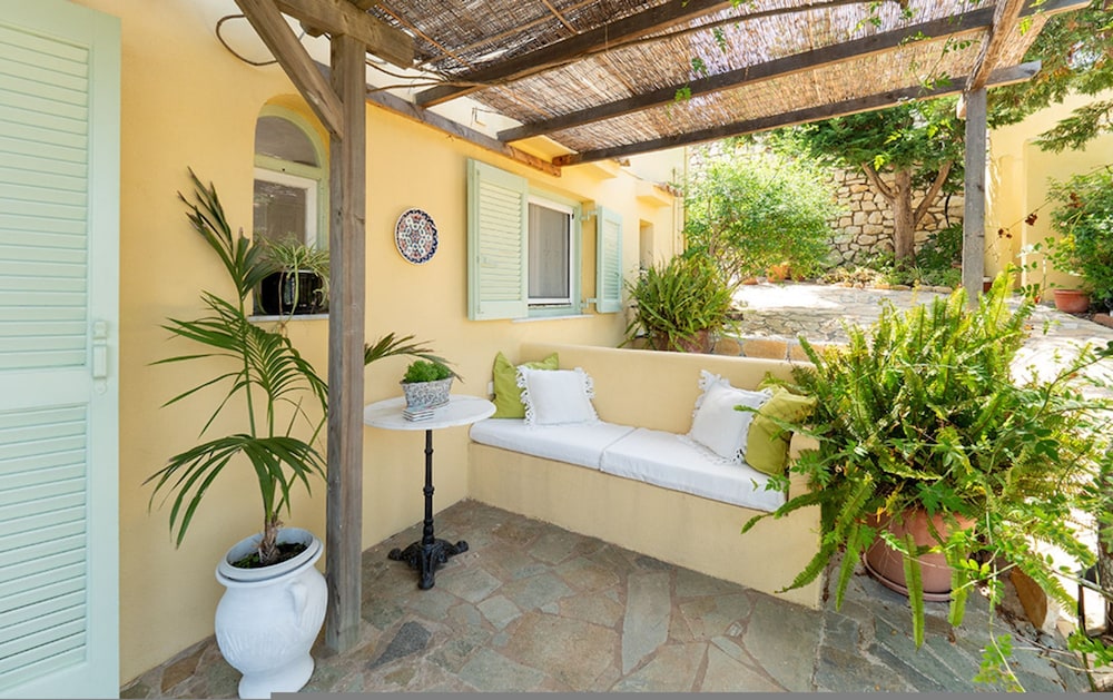 Bay View Bougainvillea Lower view 3