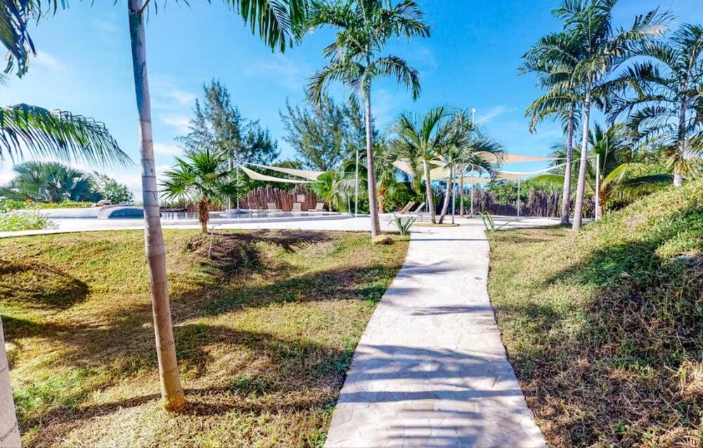 Turtle Studio in Placencia Village