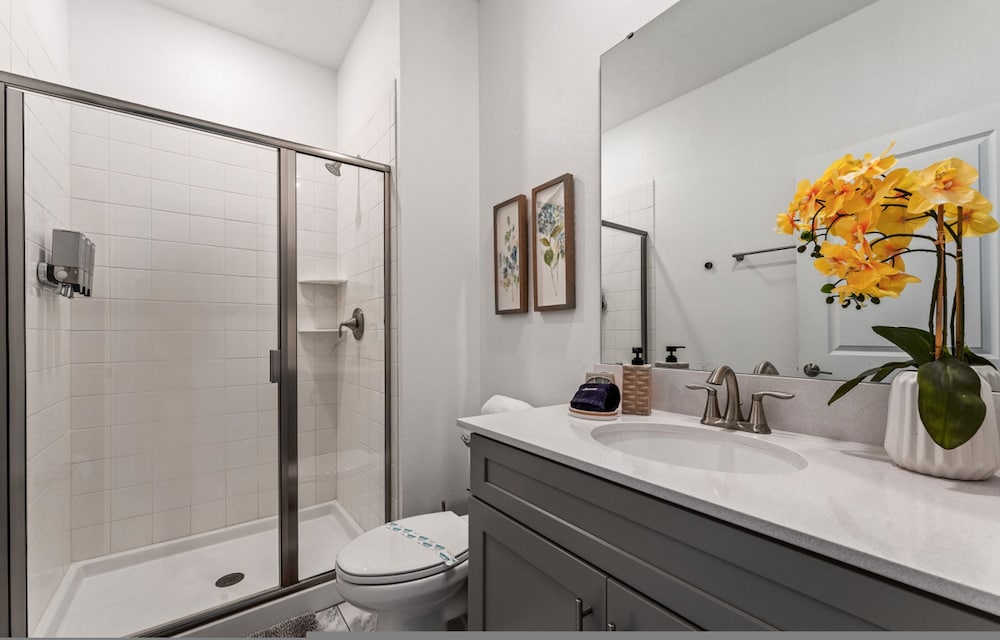 2605 Storey Lake Orlando Disney