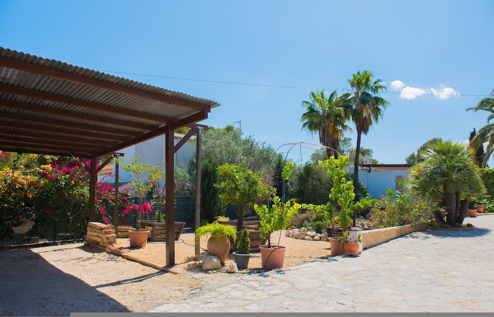 Baloma in Montgo de Toscamar