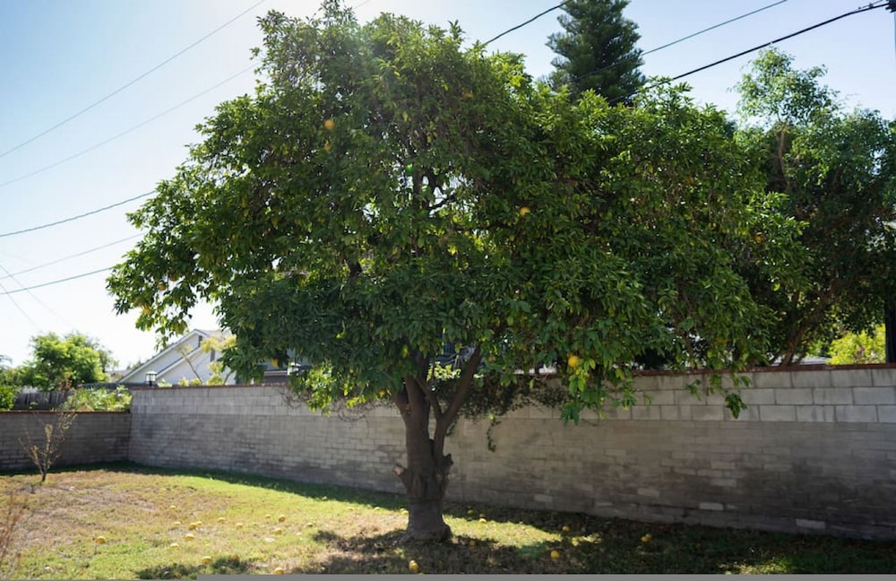 Tranquil 2BR Home in Beautiful Neighborhood P24