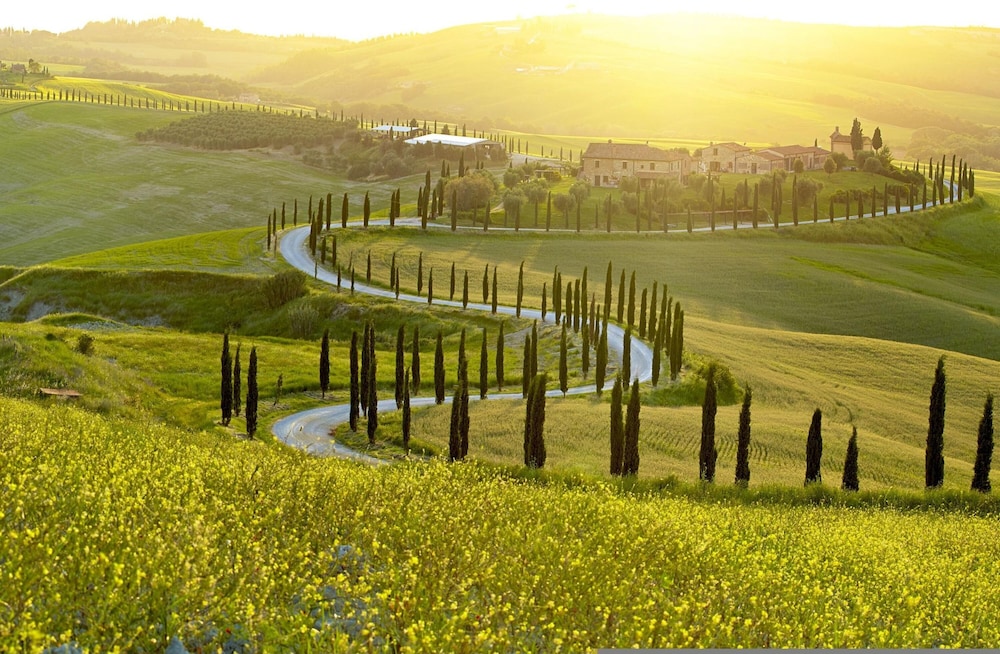 Palagio 14 in Chianti With Shared Pool photo 5