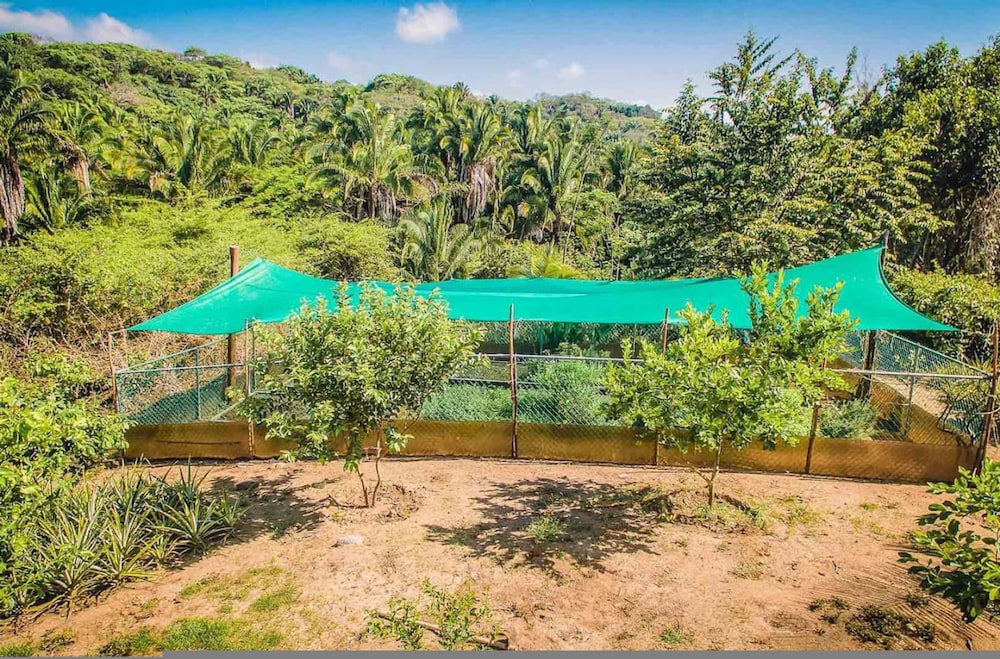 Casa Mis Amores in Nayarit