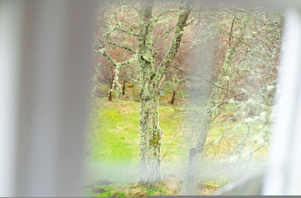 Westerpark Countryside Cottage Aswanley Aberdeenshire