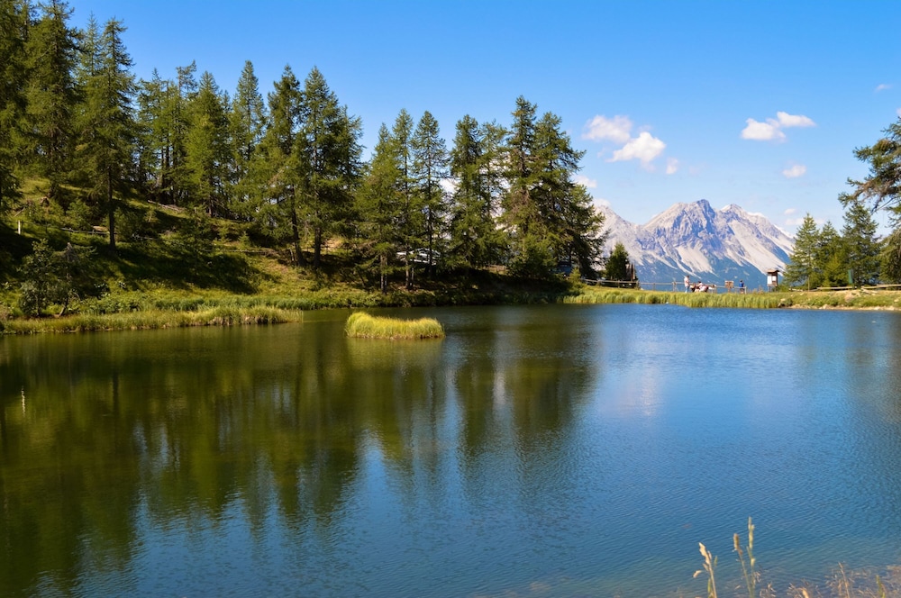 Appartamento Pian dei Larici photo 4