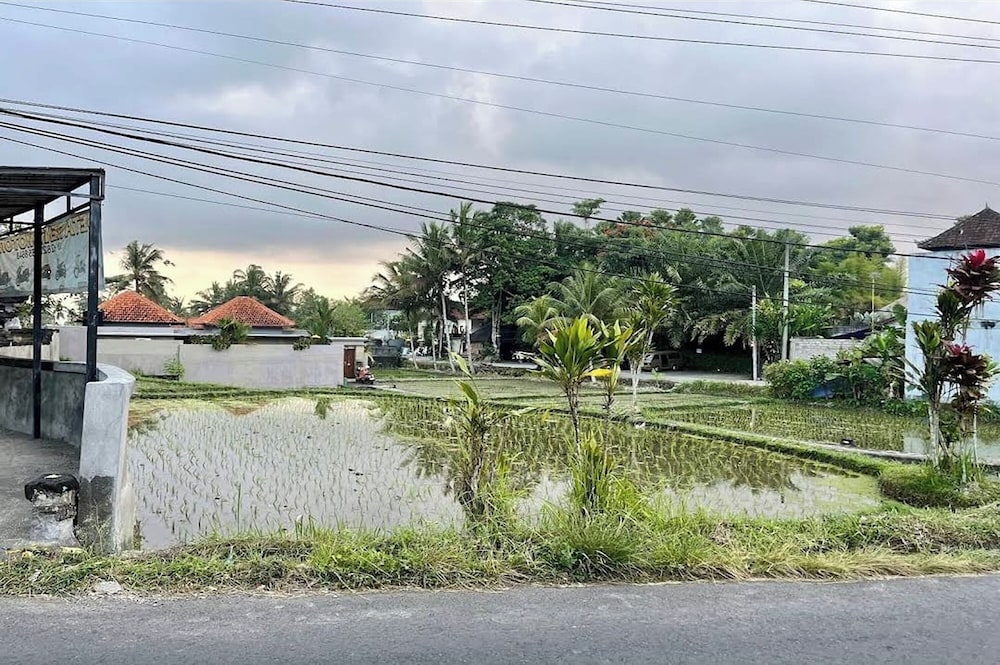 Budha House Ubud