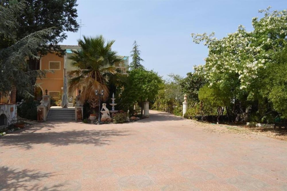 Photo 25