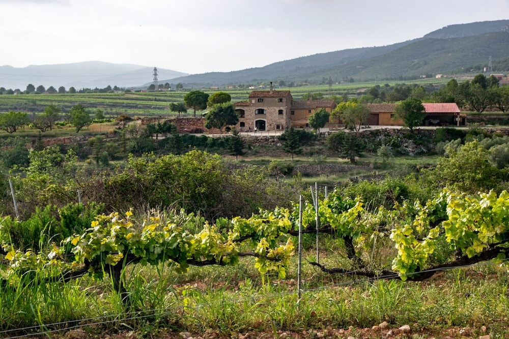 La Masieta Tarragona