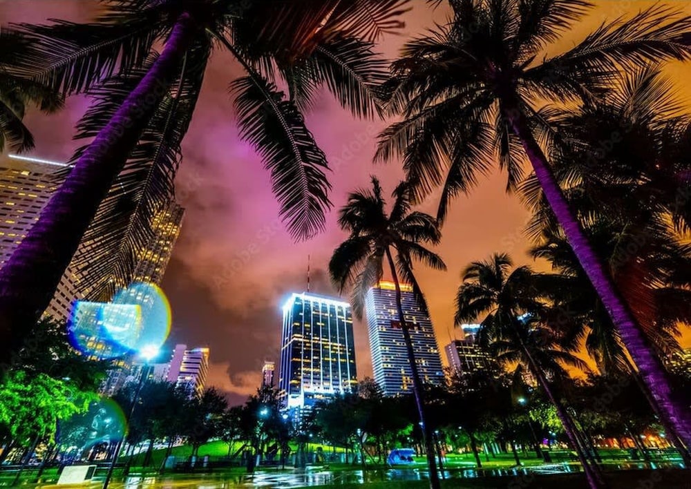 Relax Above Miami Skyline Views Gym Pool