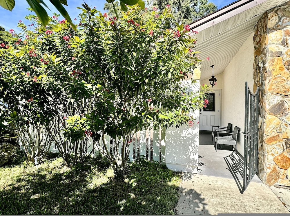 Home Close to Saint Pete Pier new Spacious
