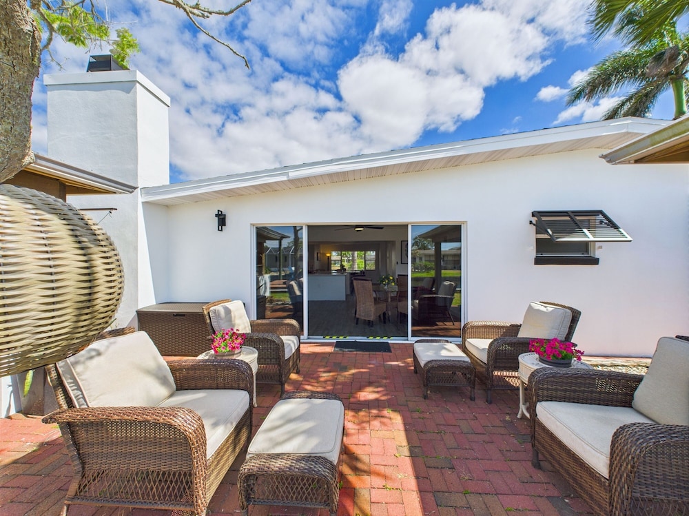 Dolphins in the Backyard Rockets in the Sky