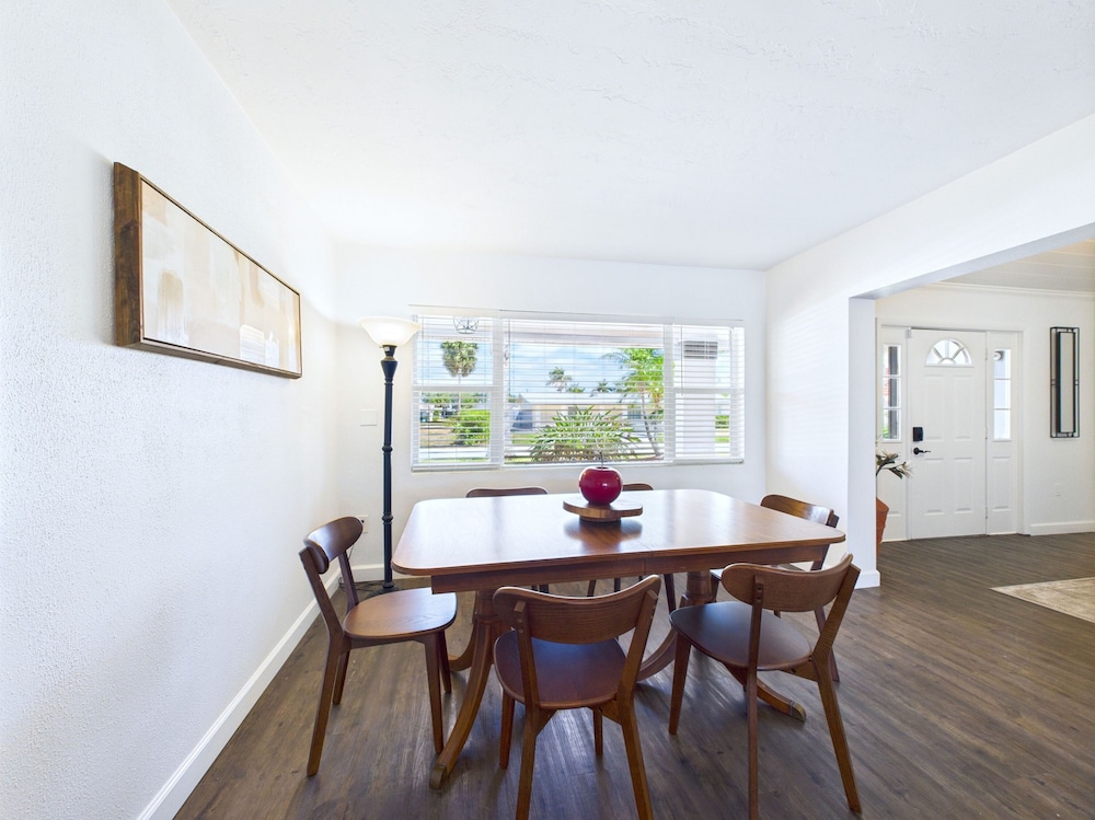 Dolphins in the Backyard Rockets in the Sky