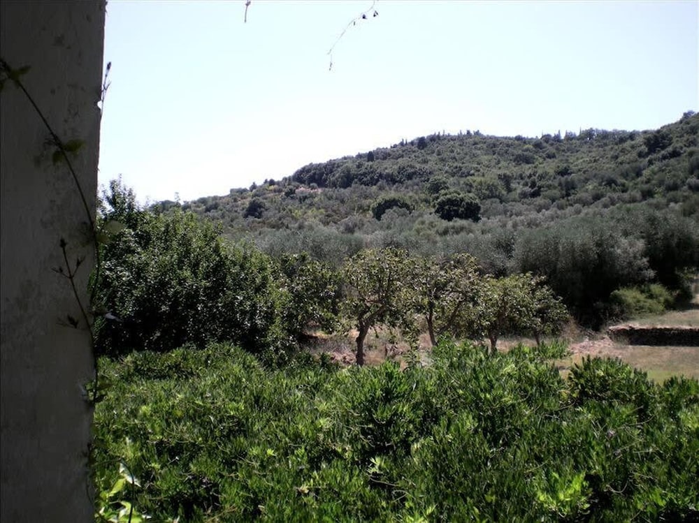 Photo 27