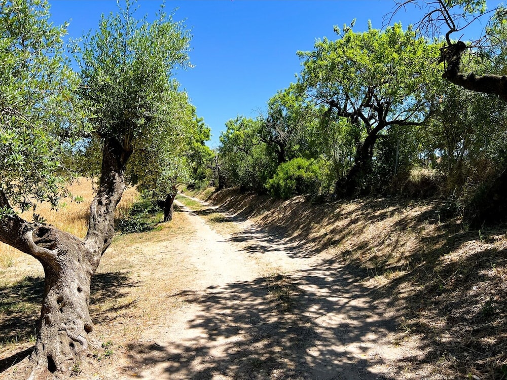 Unik Vacation La Noguera Rural Valls