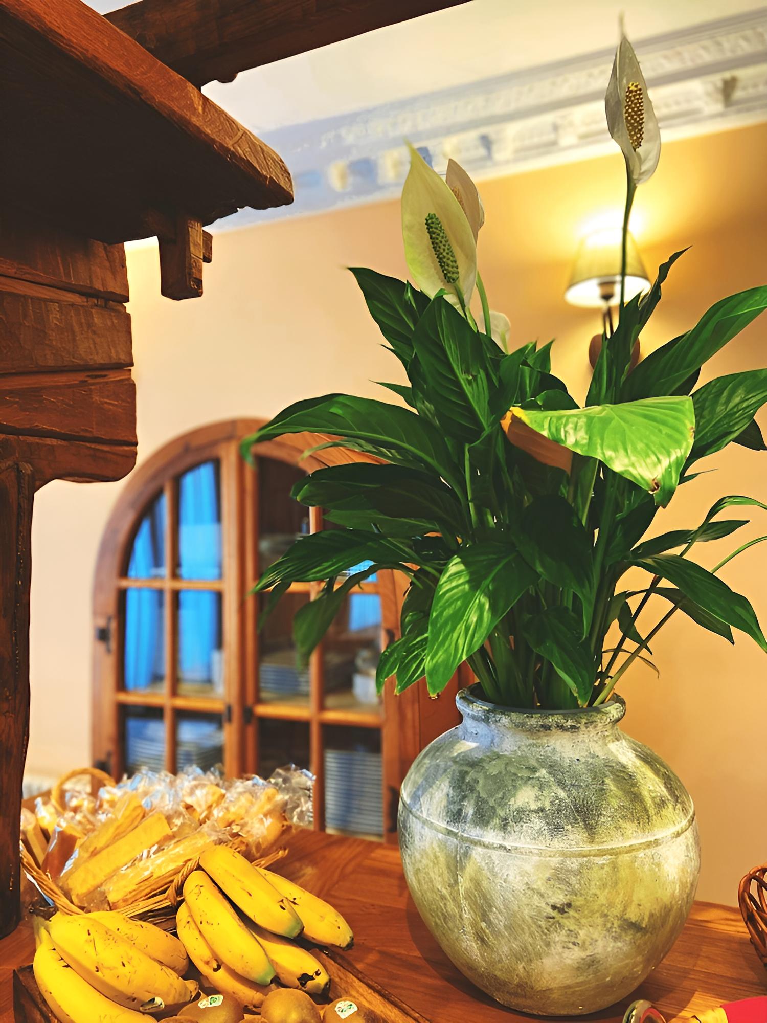 Hotel Rural la Llosa de Samano