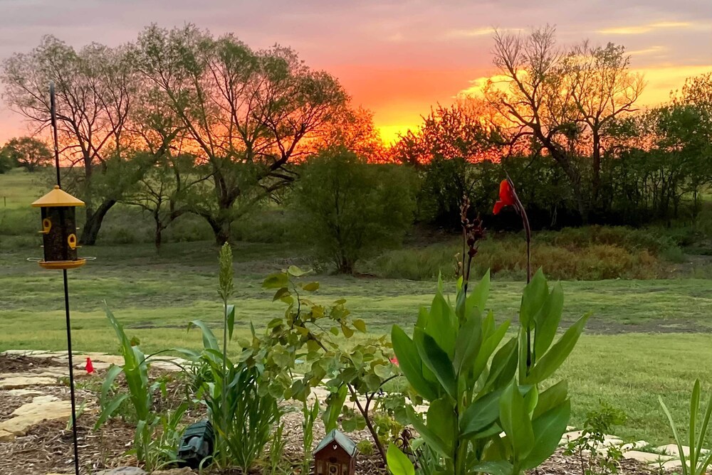 Dog-friendly Apartment ~ 32 Mi to Fort Worth! view 2