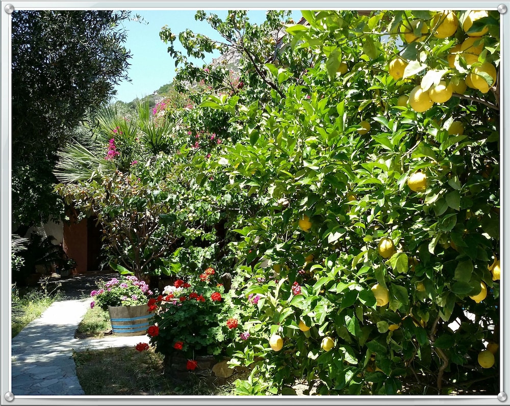 Excusive 1 Bedroom Cottage in Paleochora view 4