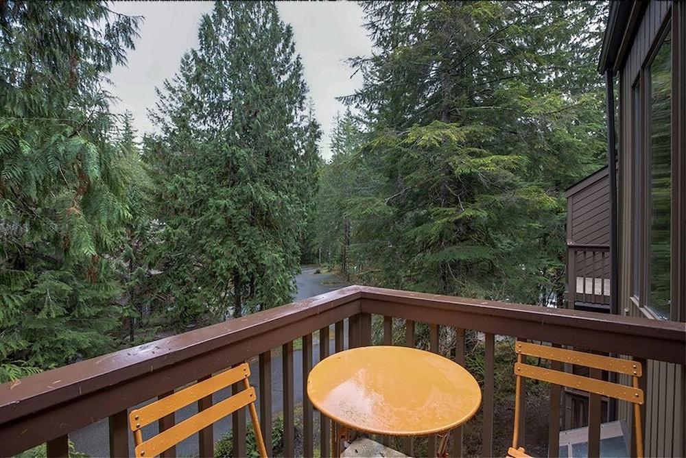 Snowater Condo - You'll be Sitting in the Lap of Luxury