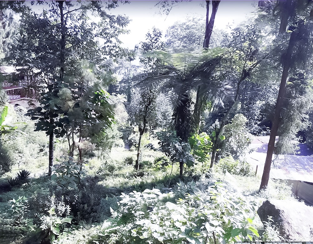 Superview Waterfall