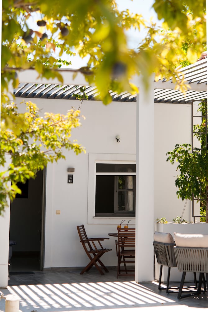 Sunny Garden