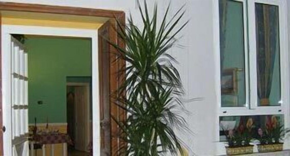 Delle Palme