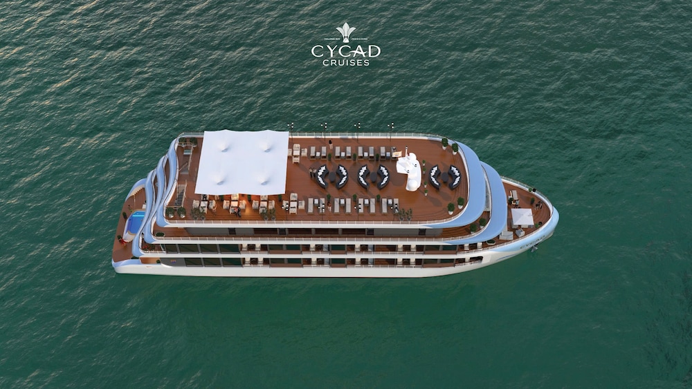 Cycad Cruise