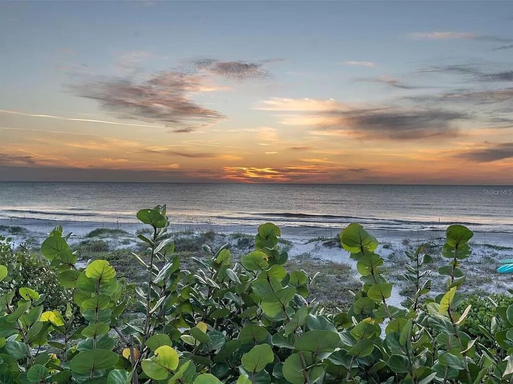 Walks On The Shore