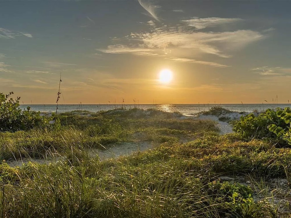 Walks On The Shore