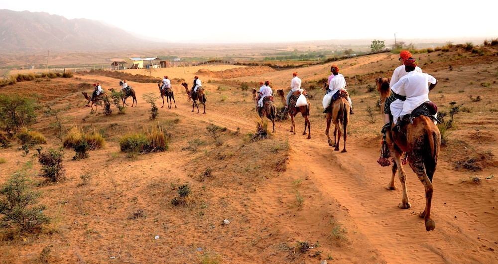 Pushkar Adventure Desert Camp
