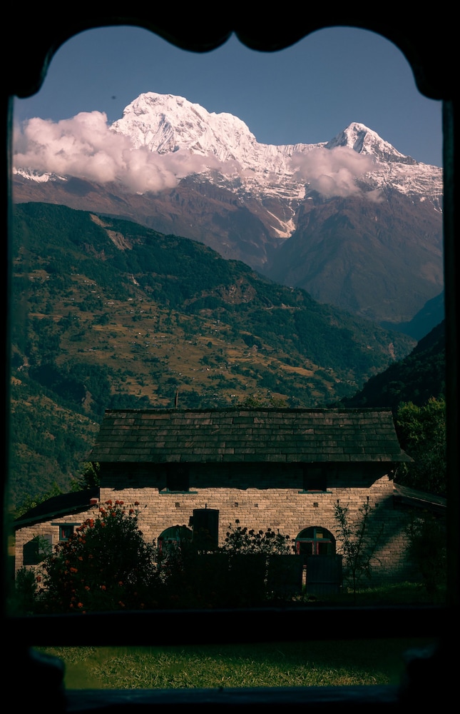 Photo 20