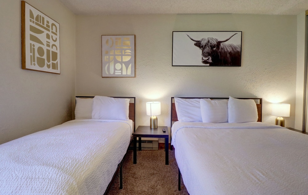 An104a Anaconda Hotel Room Only 1 Bedroom Condo