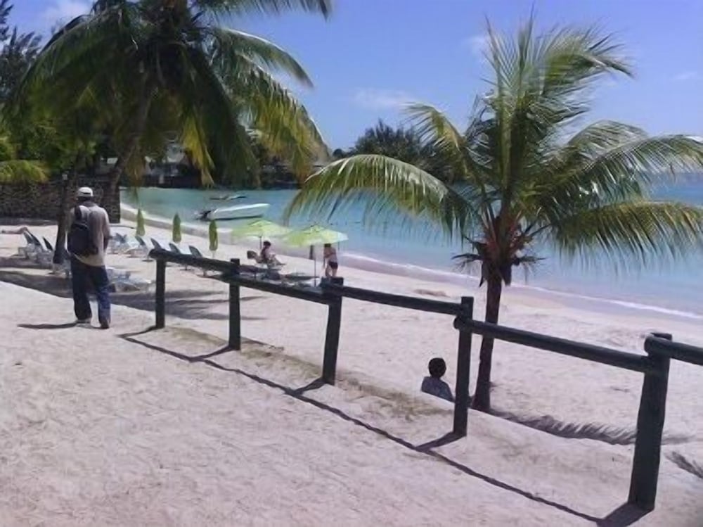Photo 42