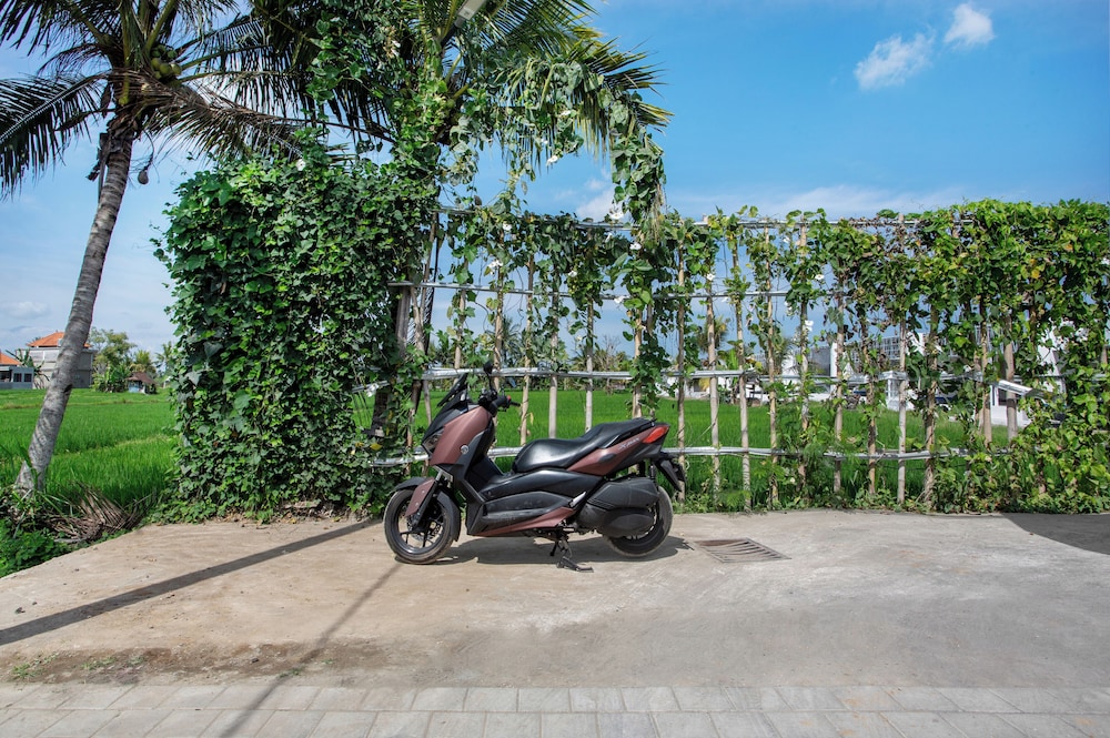 GREEN FLOW Villas III Ubud
