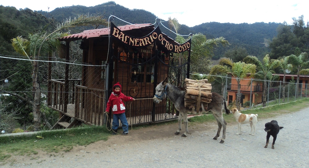 OTRO ROLLO EN JILOTPEC ZACAPOAXTLA