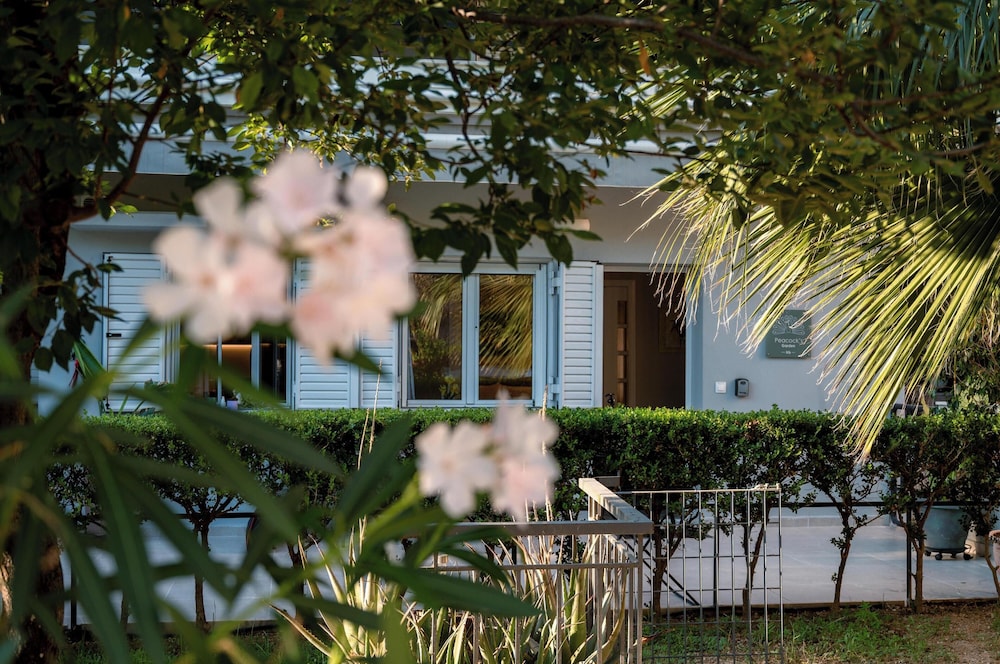 Peacock's Apartments