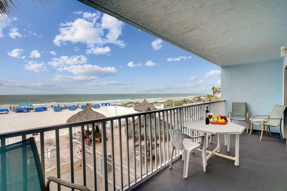 Sand Dollar 107