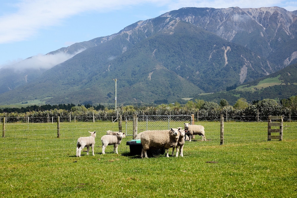 Awatea Country B&B