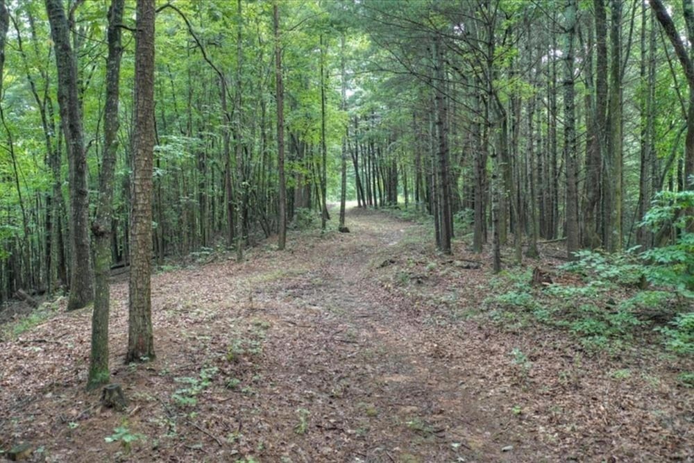 32 Acre Memory Maker by Escape to Blue Ridge