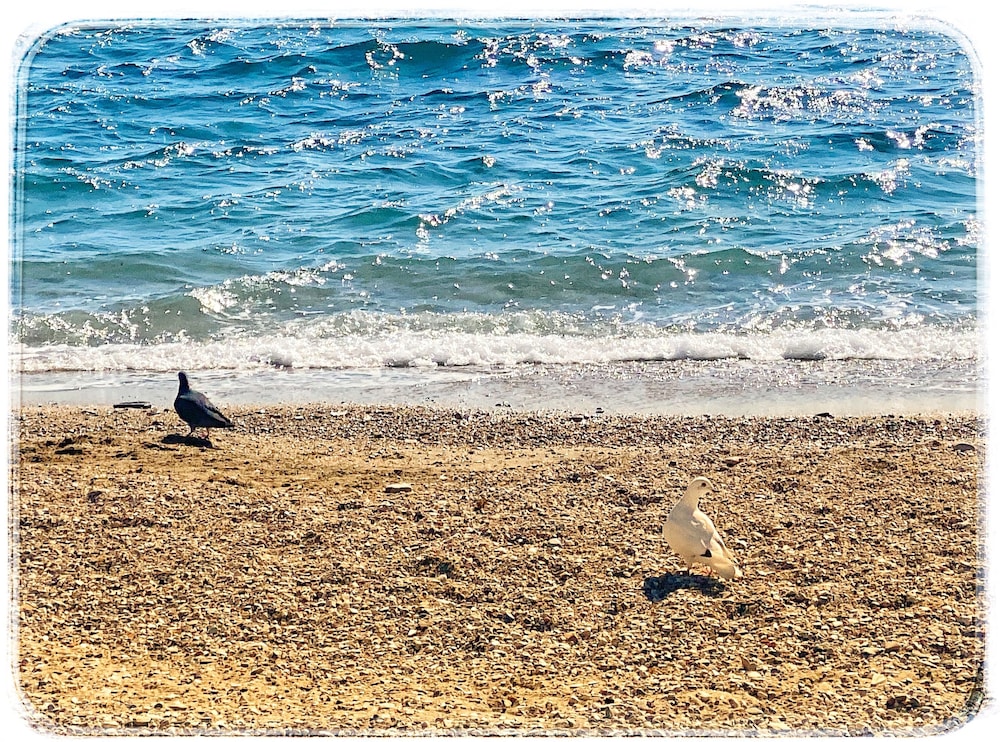 Sade Butik Otel - Image 43