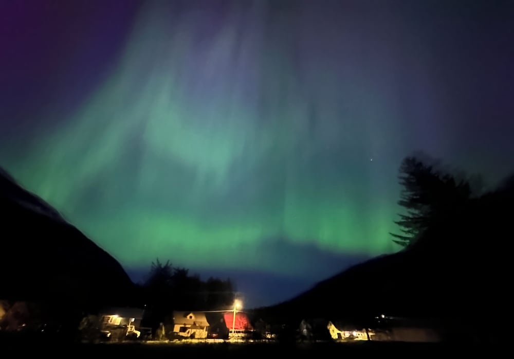 Bearvalley Guesthouse